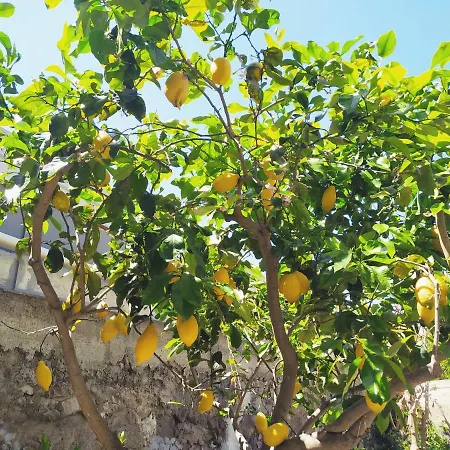 Casa Marina - Heart Of Historical Centre * Lipari (Isola Lipari)
